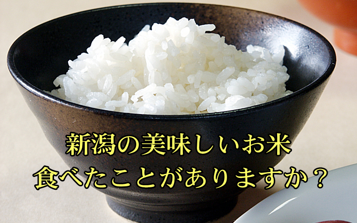 新潟米のおいしいお米を 食べたことはありますか？