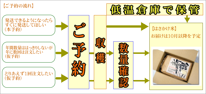 ご予紁EE流れ